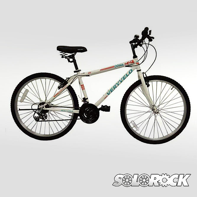 26" 21 Speed Steel Mountain Bike
