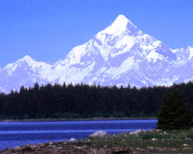 Mount Saint Elias - SOLOROCK 27.5" 10 Speed Aluminum Mountain Electric Bike