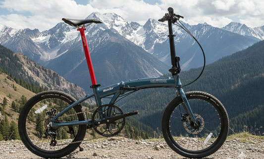 Wonder Pro - SOLOROCK 20" 10 Speed Tiagra 11.2kg Folding Bike wtih Hydraulic Disc Brakes