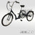 SOLOROCK 24" 6 Speed Tricycle - Ugile246