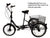 SOLOROCK 20" 6 Speed Tricycle - Agile206