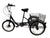 SOLOROCK 20" 6 Speed Tricycle - Agile206